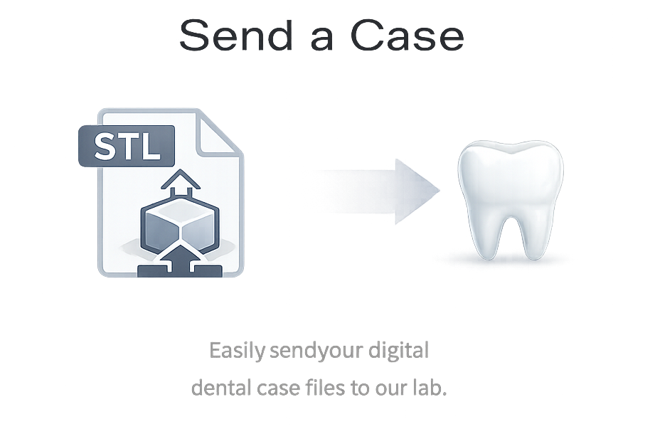 Send a Case